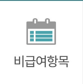 비급여항목